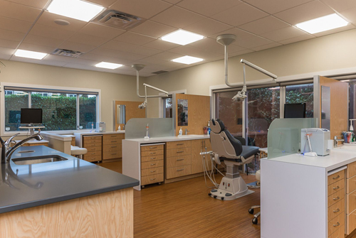 Bellamy Orthodontics
