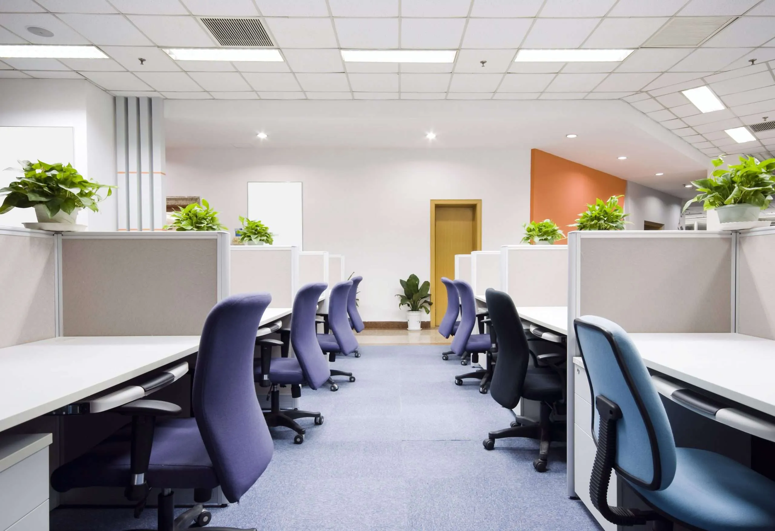 Office Renovation