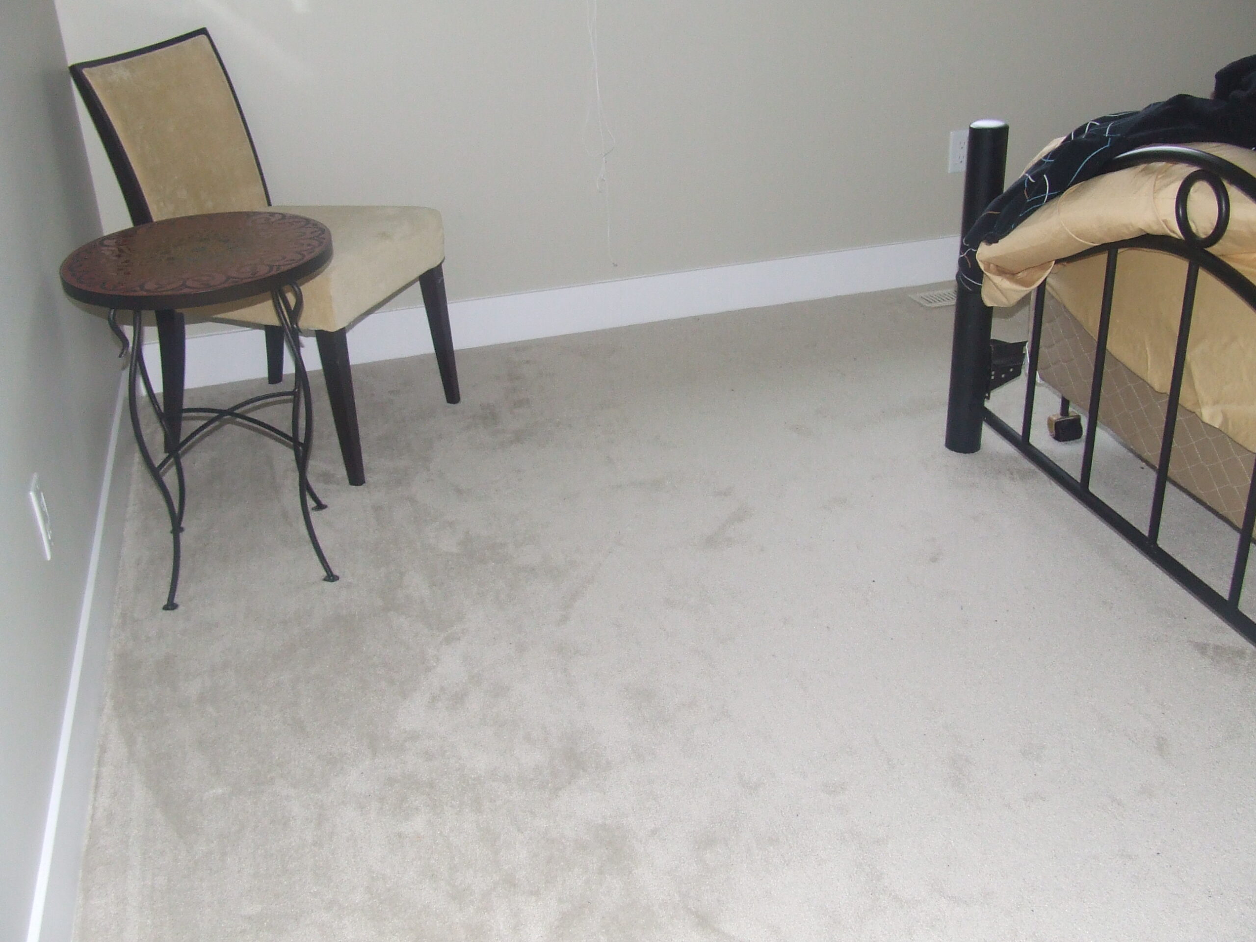 Carpet Project
