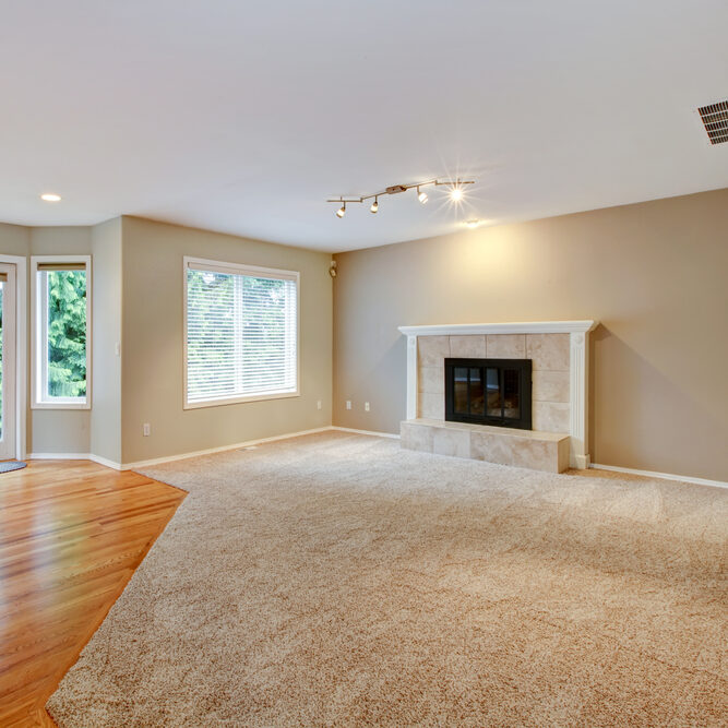 Carpet Flooring