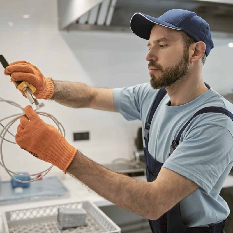 PlugIn Electric Ltd