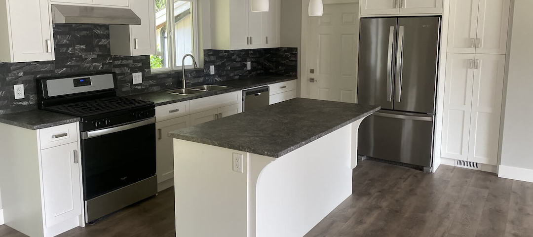 Whole House Renovation
