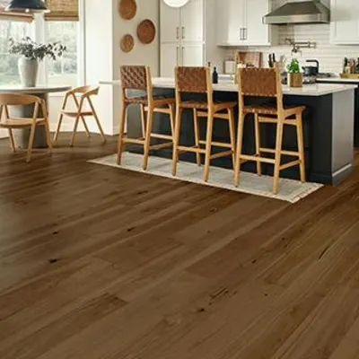Latitude Collection