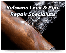 Leak and Pipe Repair
