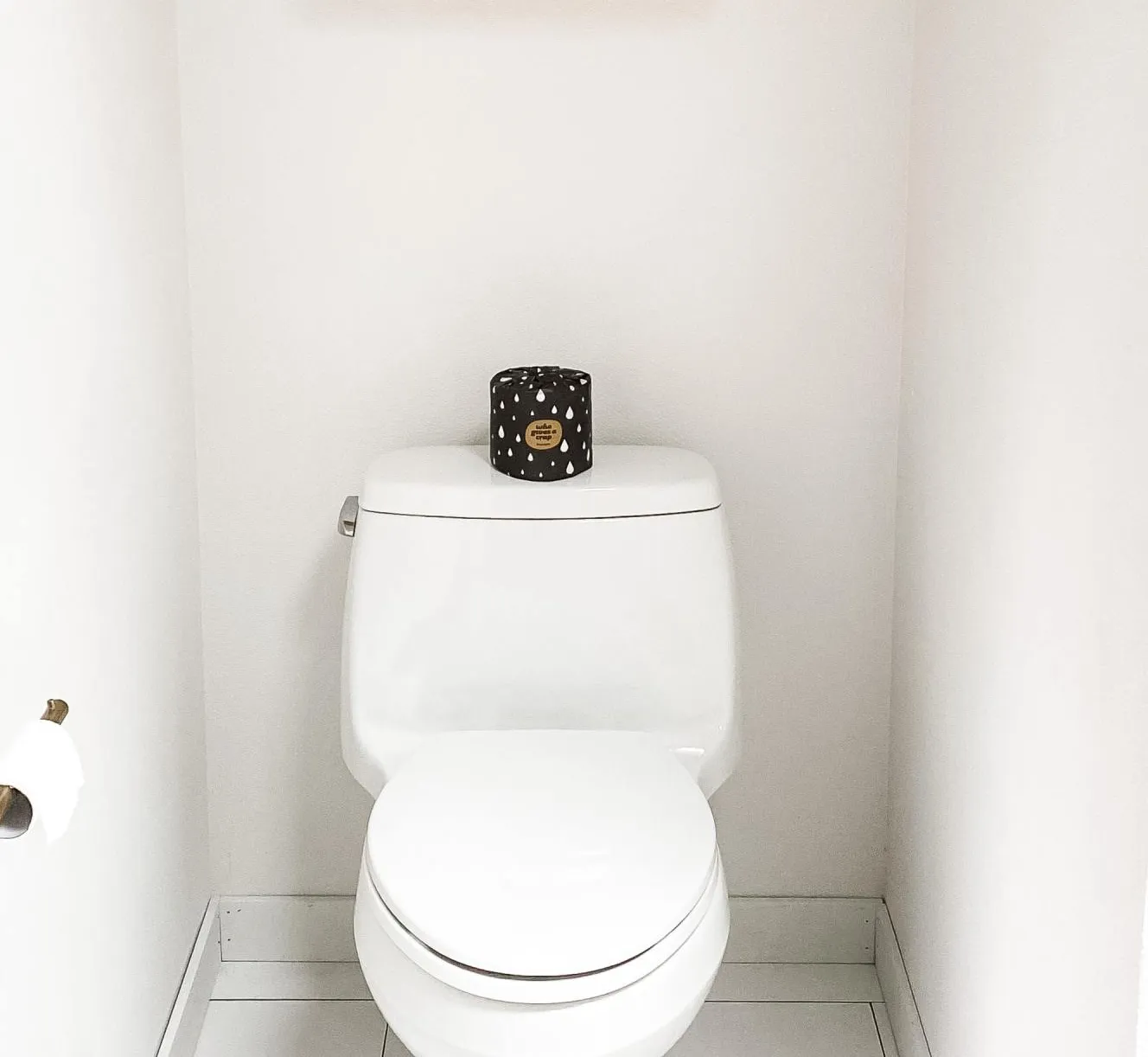 Toilet Repairs